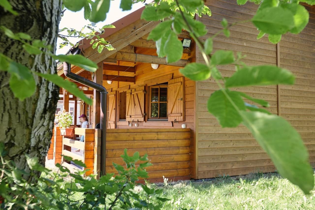 Дома для отпуска Drewniany dom z pięknym ogrodem Бохня-40